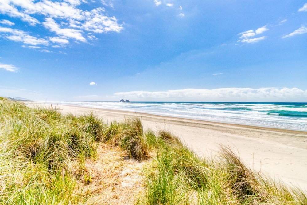 Dolphin 1, 2, & 3 Main image